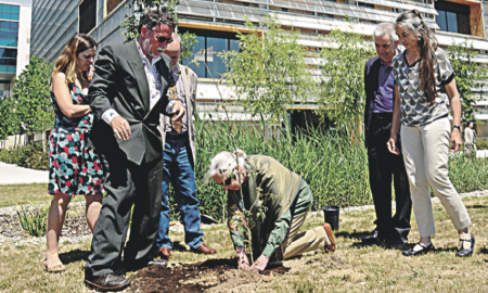Jane Goodall planta un arbre a l’edifici de l’ICTA amb Martí Boada i Jordina Belmonte