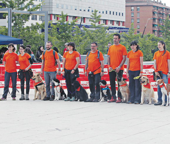 La plaça es va tenyir de taronja en solidaritat amb els animals