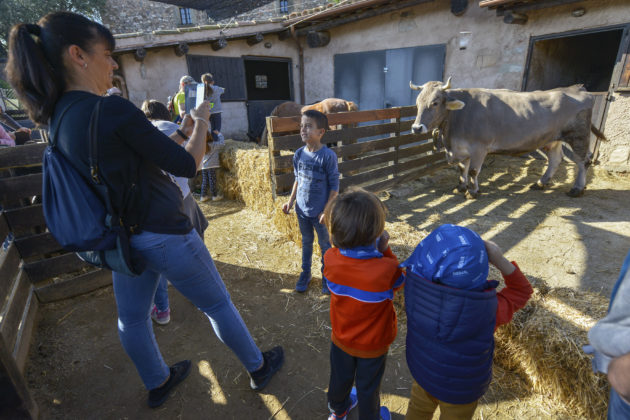 La visita a la granja, una de les activitats estrella entre els infants / OSCAR ESPINOSA