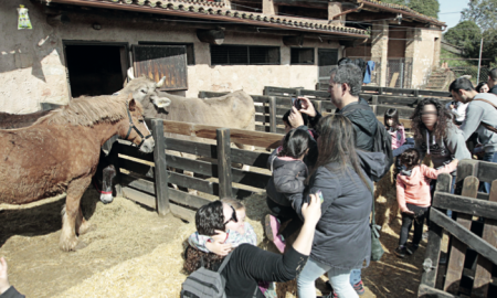 La visita a la Masia de Can Deu i als seus animals en família és una de les activitats més esperades