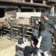 La visita a la Masia de Can Deu i als seus animals en família és una de les activitats més esperades