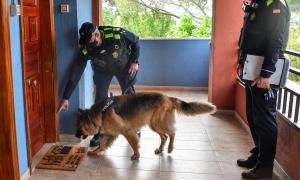 Unitat canina Policia