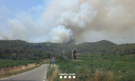 incendi olivella bombers