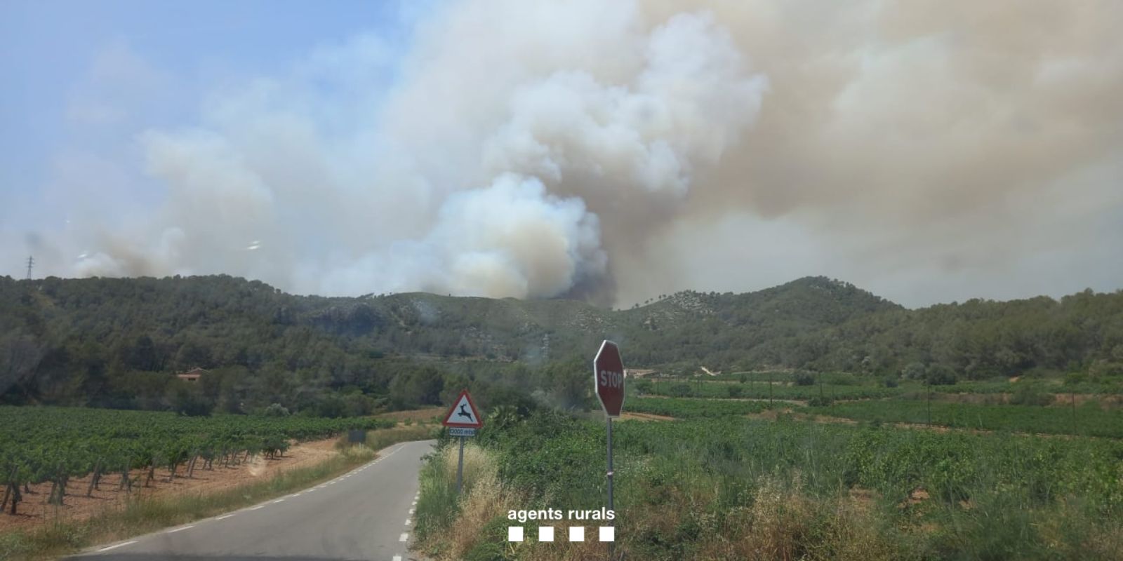 incendi olivella bombers