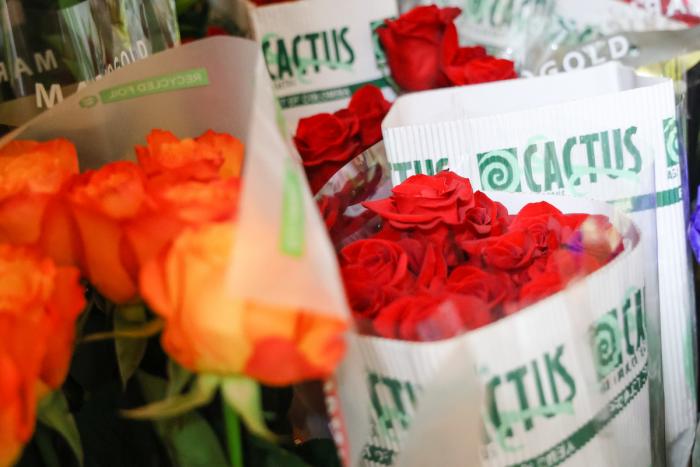 Sant Jordi A Sabadell s’han instal·lat 164 parades de roses i llibres / víctor castillo